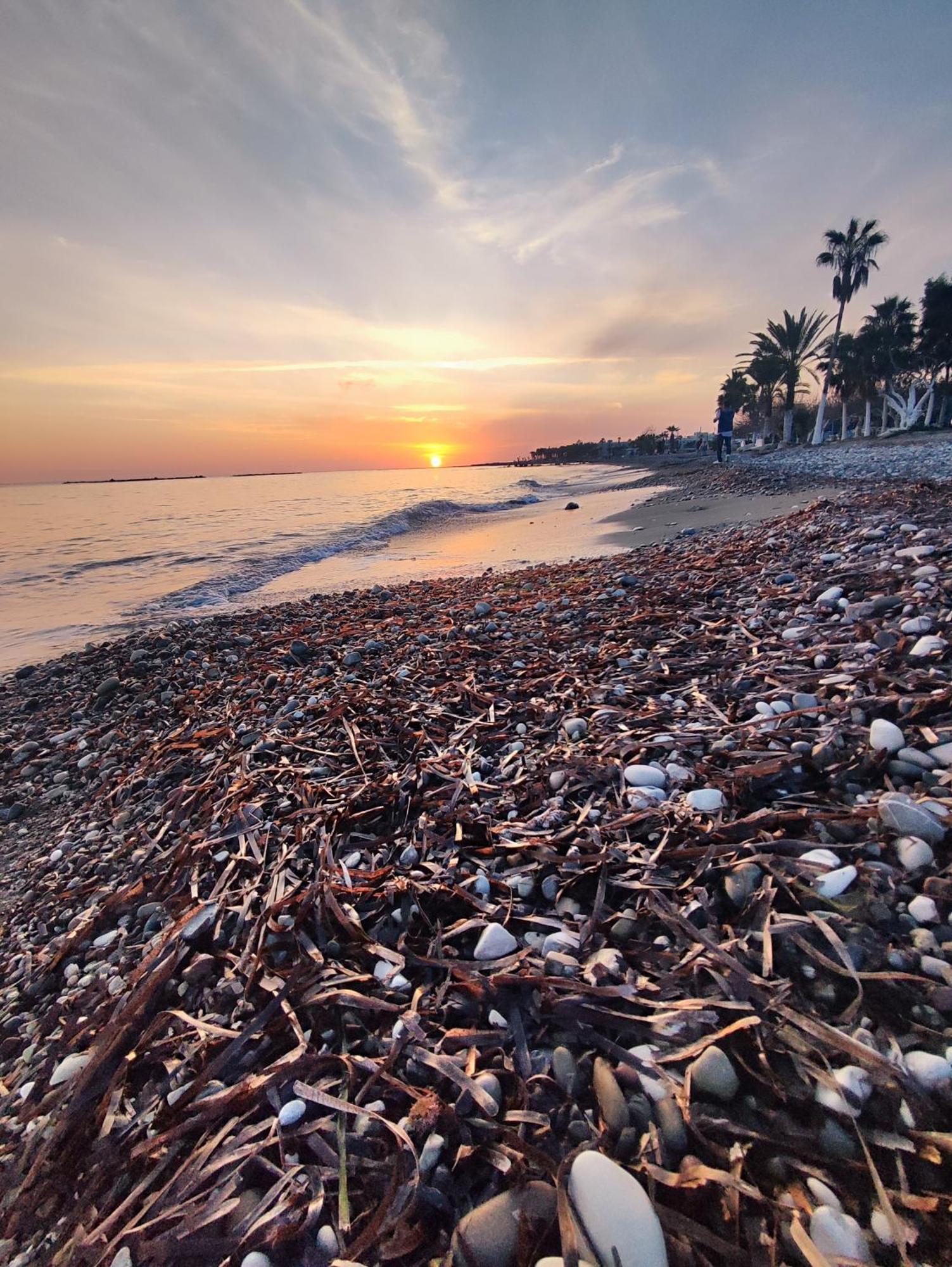 Marina Gardens Διαμέρισμα Πάφος Εξωτερικό φωτογραφία